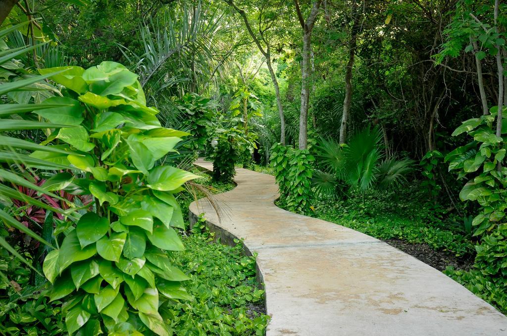Amarte Maroma Hotel Eco Boutique Spa Punta Maroma المظهر الخارجي الصورة
