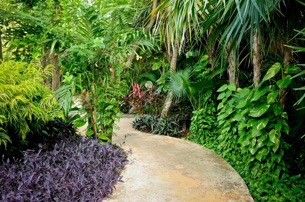 Amarte Maroma Hotel Eco Boutique Spa Punta Maroma المظهر الخارجي الصورة