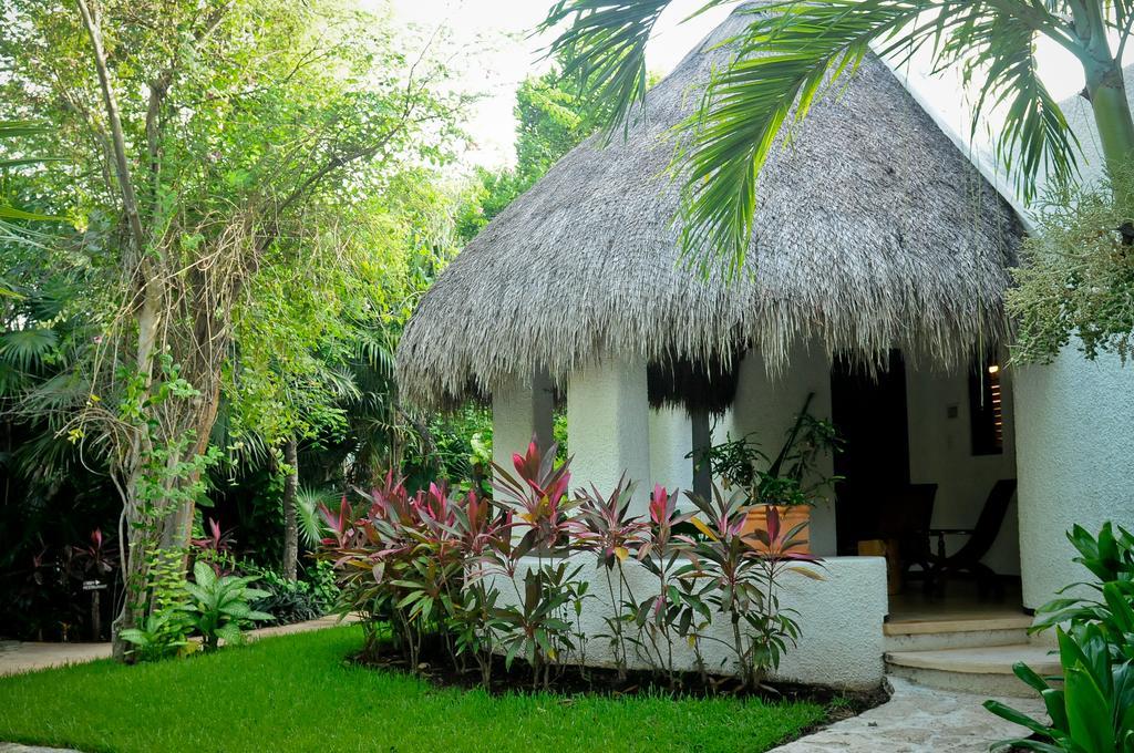 Amarte Maroma Hotel Eco Boutique Spa Punta Maroma المظهر الخارجي الصورة