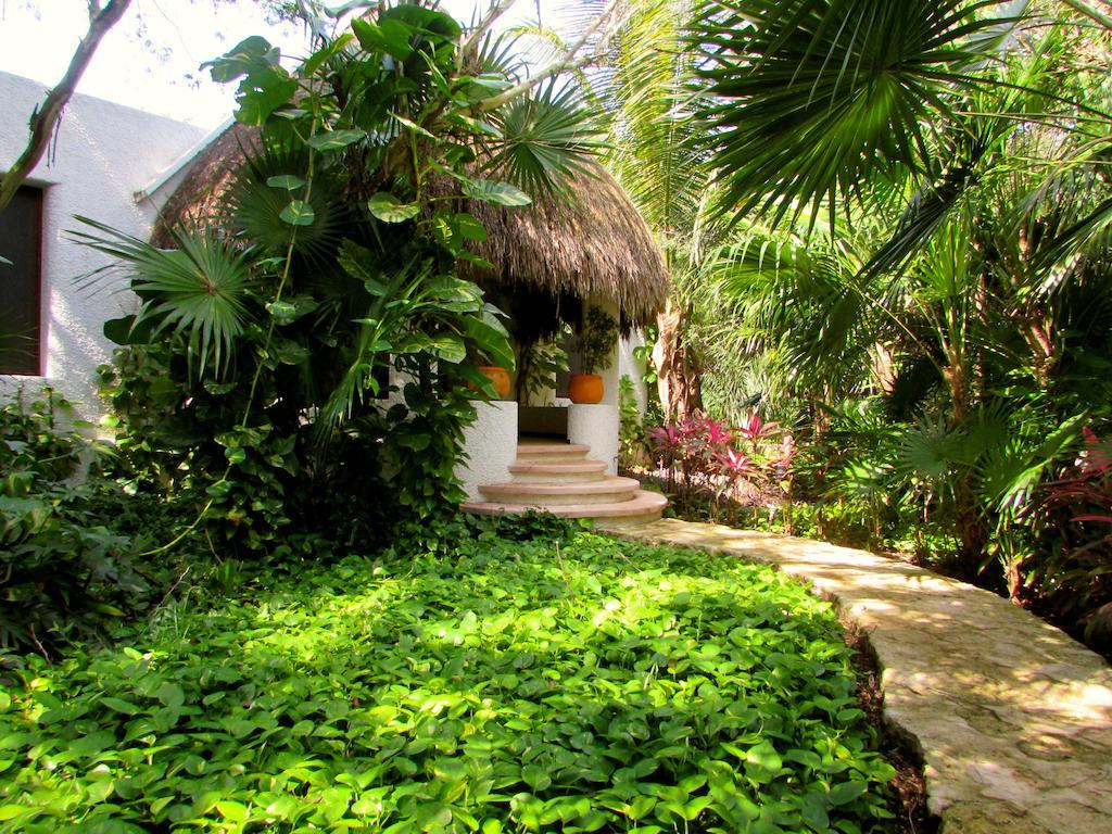 Amarte Maroma Hotel Eco Boutique Spa Punta Maroma المظهر الخارجي الصورة