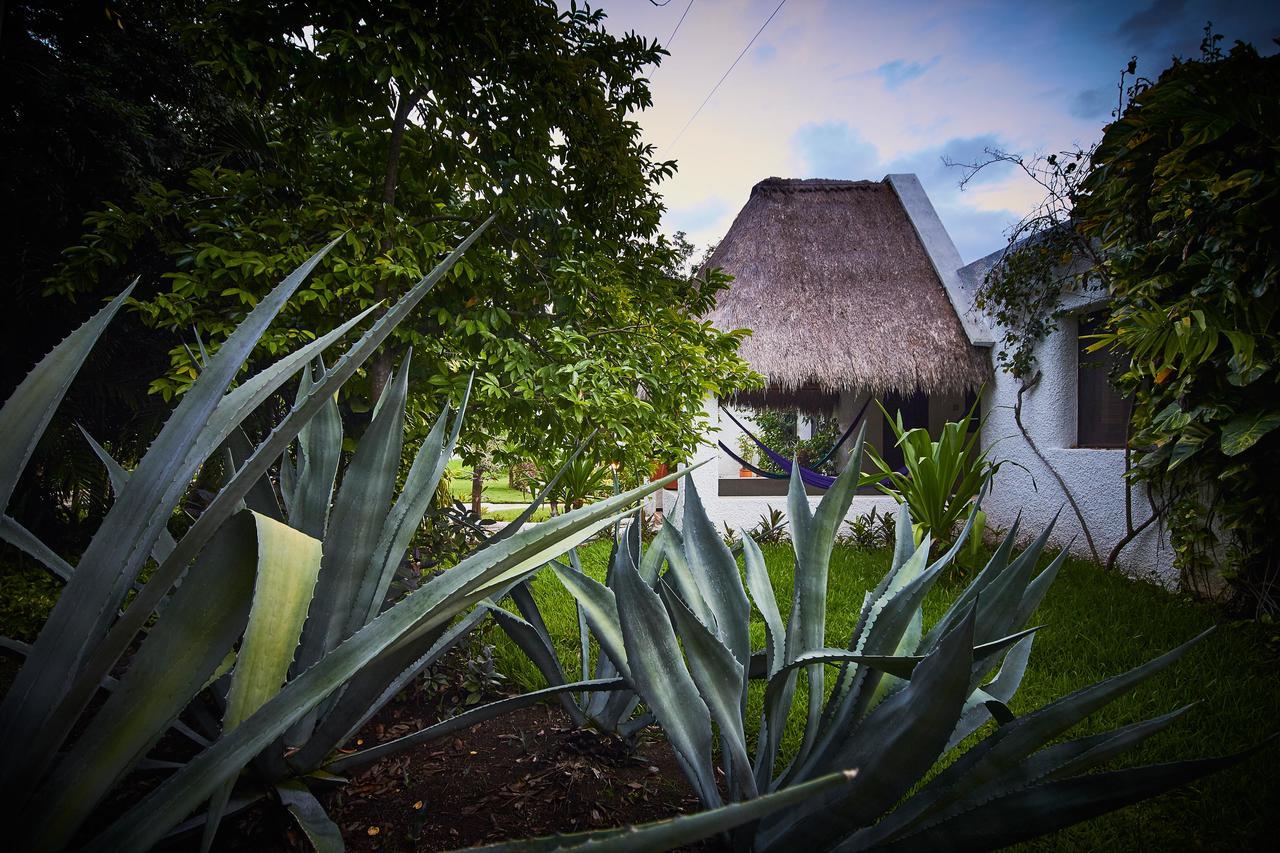 Amarte Maroma Hotel Eco Boutique Spa Punta Maroma المظهر الخارجي الصورة