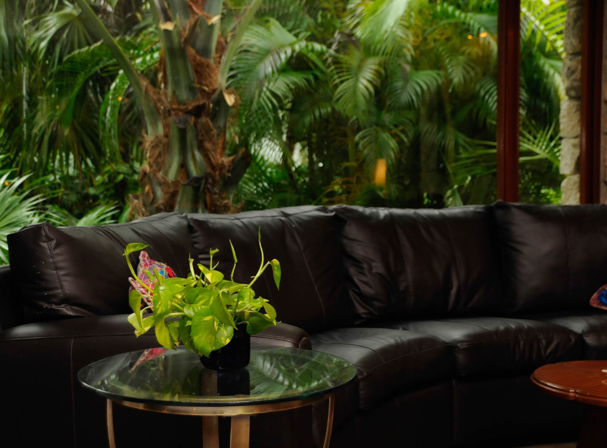 Amarte Maroma Hotel Eco Boutique Spa Punta Maroma المظهر الخارجي الصورة