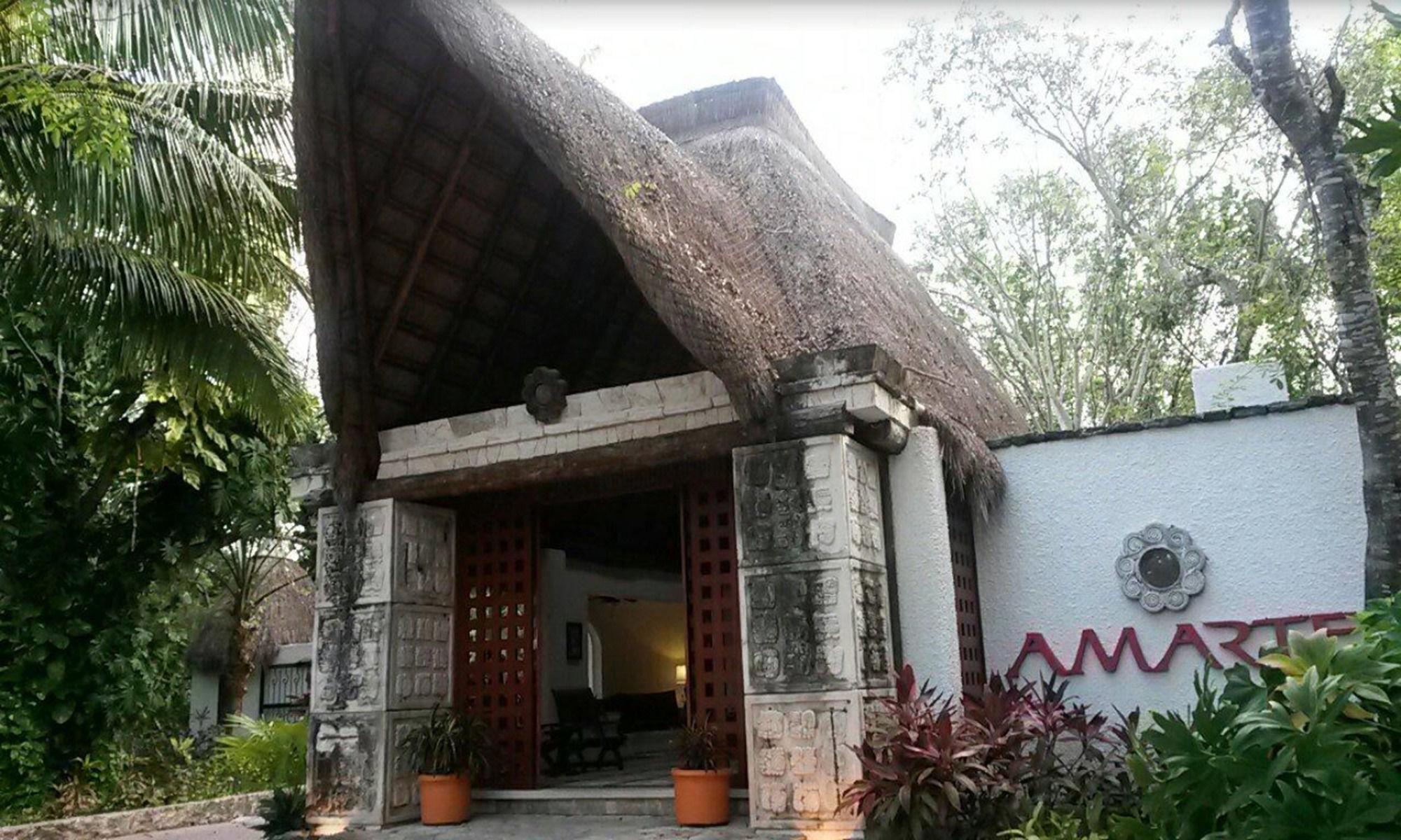 Amarte Maroma Hotel Eco Boutique Spa Punta Maroma المظهر الخارجي الصورة